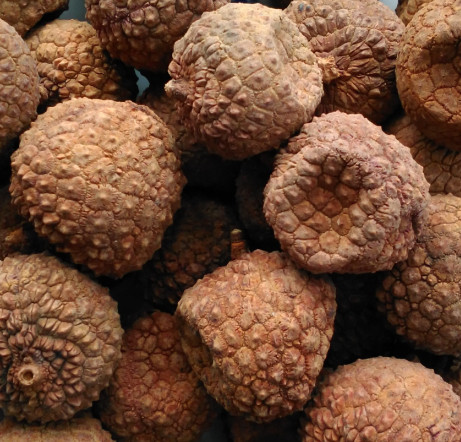 Guangxi agricultural specialties dried lychees with small core and thick flesh 500g