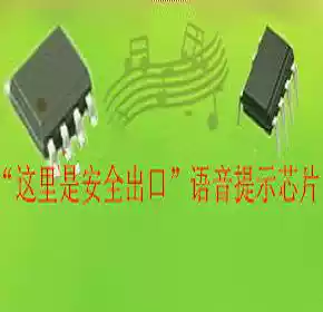 Voice chip This is the safe exit voice prompt chip