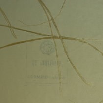 Hot Pins Western Unique Style Natural Simplicity About QSM203 Sprinkling Wallpaper RMB118  1 volume 5 square meters