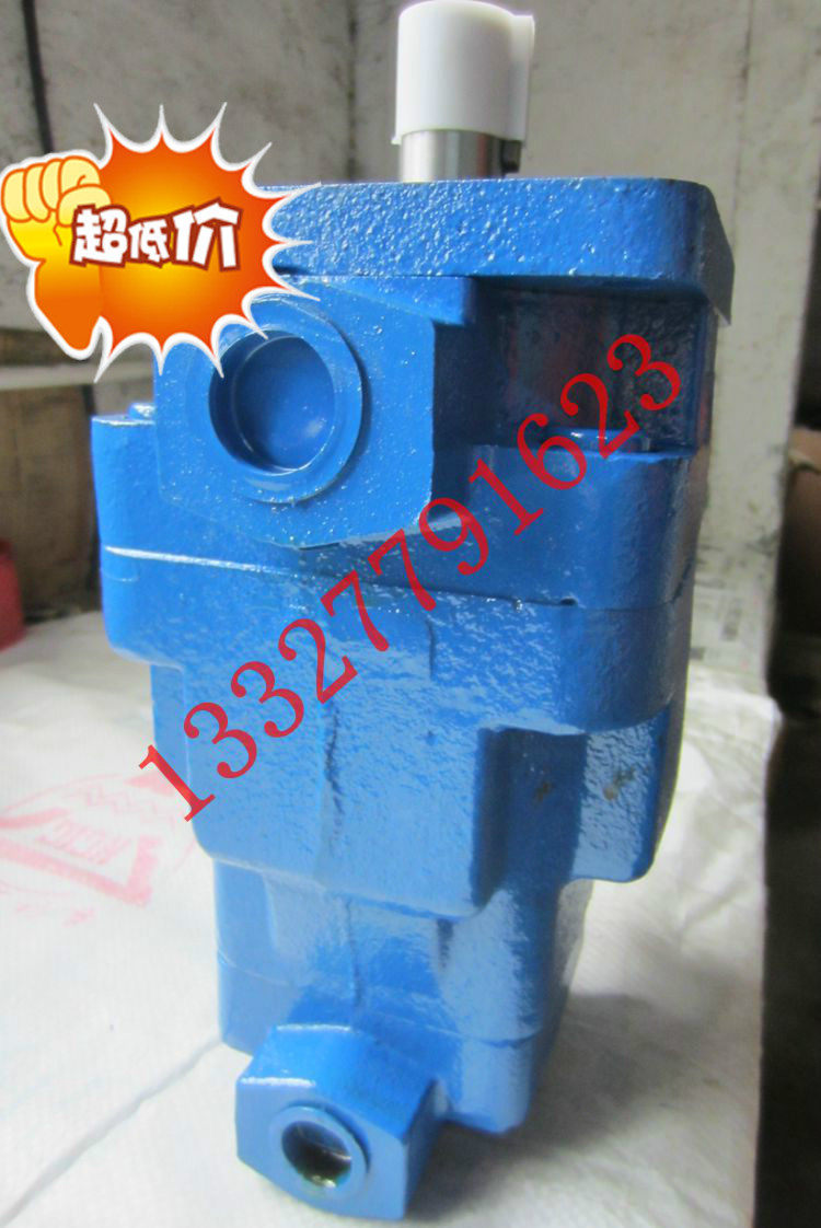 Double vane pump YB1-80 10 gear oil pump YB1-80 25 lubrication pump YB1-80 50YB1-80 80