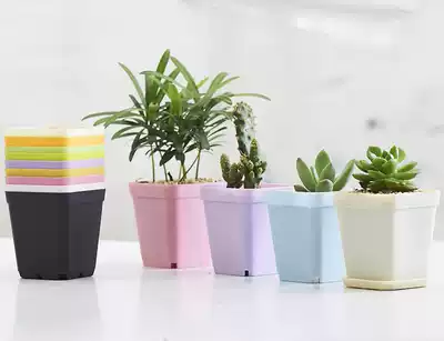 Buy pots and send mini colored plastic flower pots, small square pots, pallets, square succulent planting pots, colorful