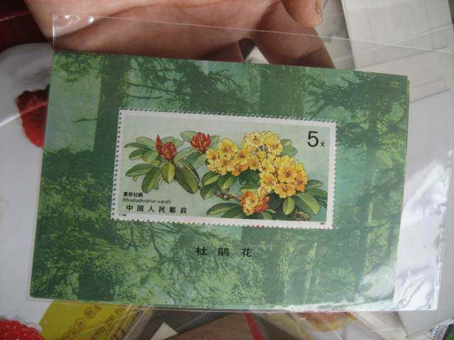 T162M Small Zhang (all) Special*