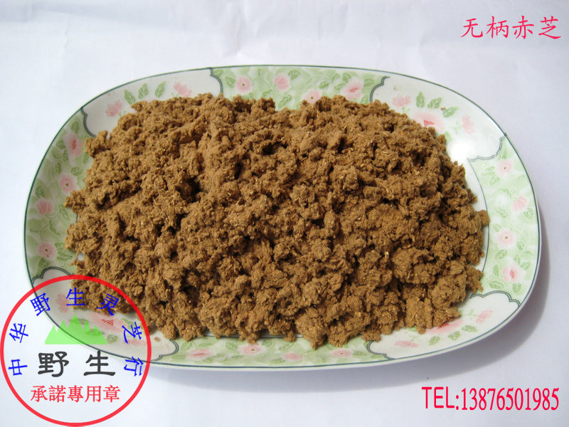 Pure wild Ganoderma lucidum (sessile red lucidum fine powder) wild commitment Wuzhishan delivery