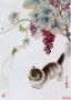 Tô Châu thêu nho DIY kit mới bắt đầu Cats 57 * 40 quà tặng cao cấp bức tranh thêu bằng tay - Bộ dụng cụ thêu khăn lụa thêu tay