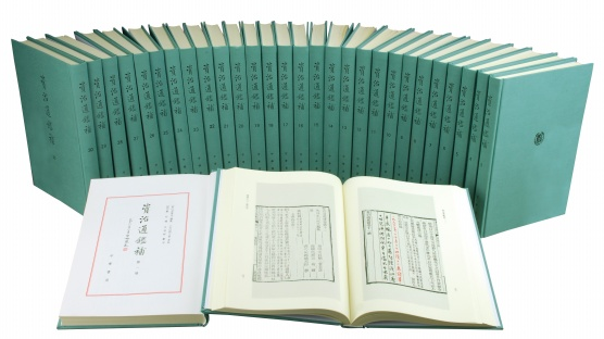 资治通鉴补 中华书局 （16开精装全三十册）繁体竖排 [宋]司马光编集，[元]胡三省音注，[明]严衍补，王伯祥断句 原价18000元