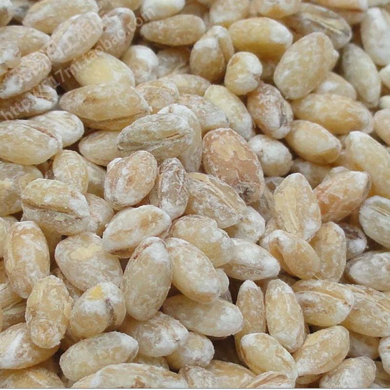 ★nutritious barley kernel 500g * (eat more groceries * in good health) * Wuxi online food store