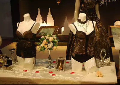 Straight front underwear underwear photo model props bra underwear model female half-length model props