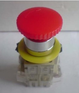 (Jiangyin price butcher) authorized agent Deli West LAY3-11ZS button switch mushroom emergency stop