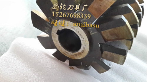 Worm gear hob M12 5 alpha 2 0 ° One head hole type otherwise non-marked worm gear cutter set to do