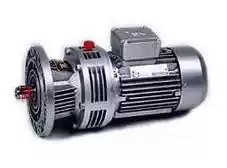 WB100 Cycloid needle wheel reducer 250W 1 70