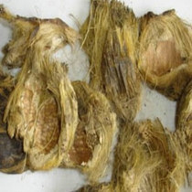 Chinese herbal medicine Chinese herbal medicine Dabupi 500g betel nut skin Dabuli