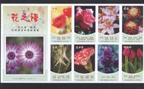Changsha Spark- - - - Flower language full set 92 1 piece