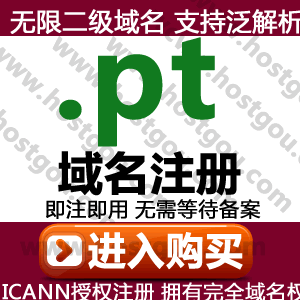  pt 域名注册 支持泛解析无限二级名域米 外贸葡萄牙国家网址购买