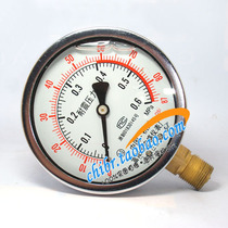 Hongsheng Instrument YN-100 Radial Seismic Pressure Gauge YTN-100 Vibration Pressure Gauge 0-0 6MPA