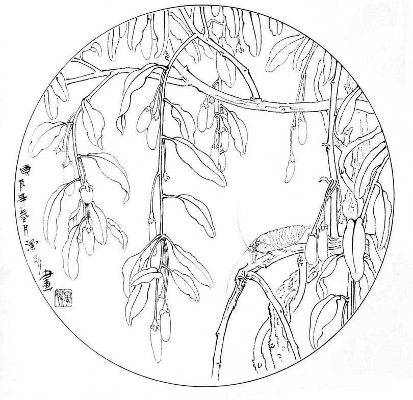 59 pieces of fruit and vegetable series bottom draft white sketching bird pictorial work stroke sketching hand-painted electronic version-Taobao