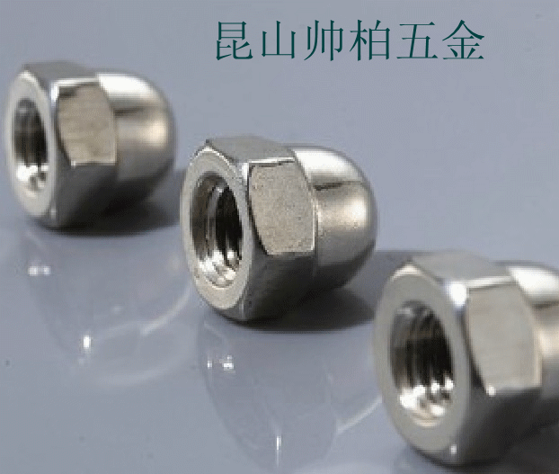 Stainless Steel Cap Nut 304 Cap Nut M14 Cap Nut Cap Nut DIN1587 Cap Nut