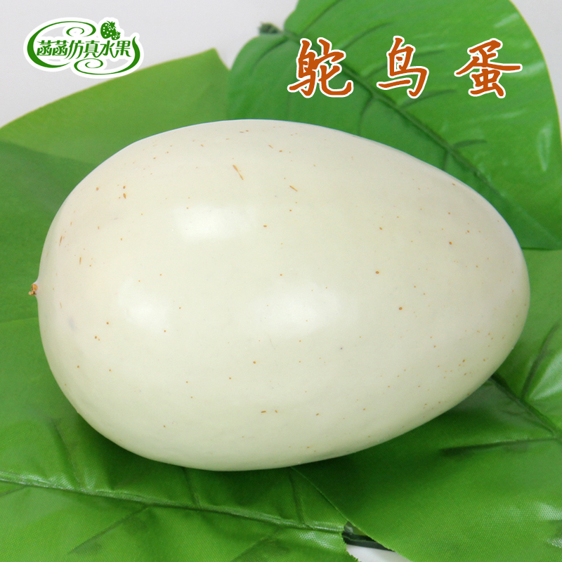 Simulation Ostrich Egg Homophobic Eggs Giant Egg Foam Fake Great Egg Model Teaching Photography Viewprop Toy Material-Taobao