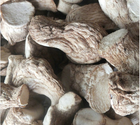 Lishui specialty Qingyuan farmer double scissor mushroom feet dry leg dry food dumplings filling 100g