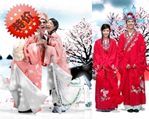 Liang Shanbo wishes Yingtai opera costumes small raw clothes with four talents to serve Ximen Qingpan Golden Lotus Stage Costume Fairy