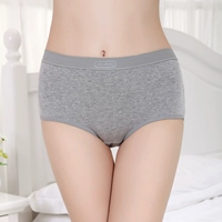 5 tặng 1 cotton miễn phí Đồ lót Lycra nữ mùa hè cotton cao eo quần đùi ngắn kích thước lớn đồ lót chất béo mm - Giống cái quần lót lọt khe xẻ đáy