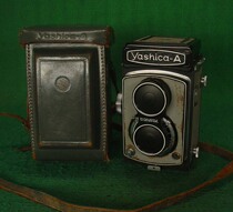 Gray version Yashica A
