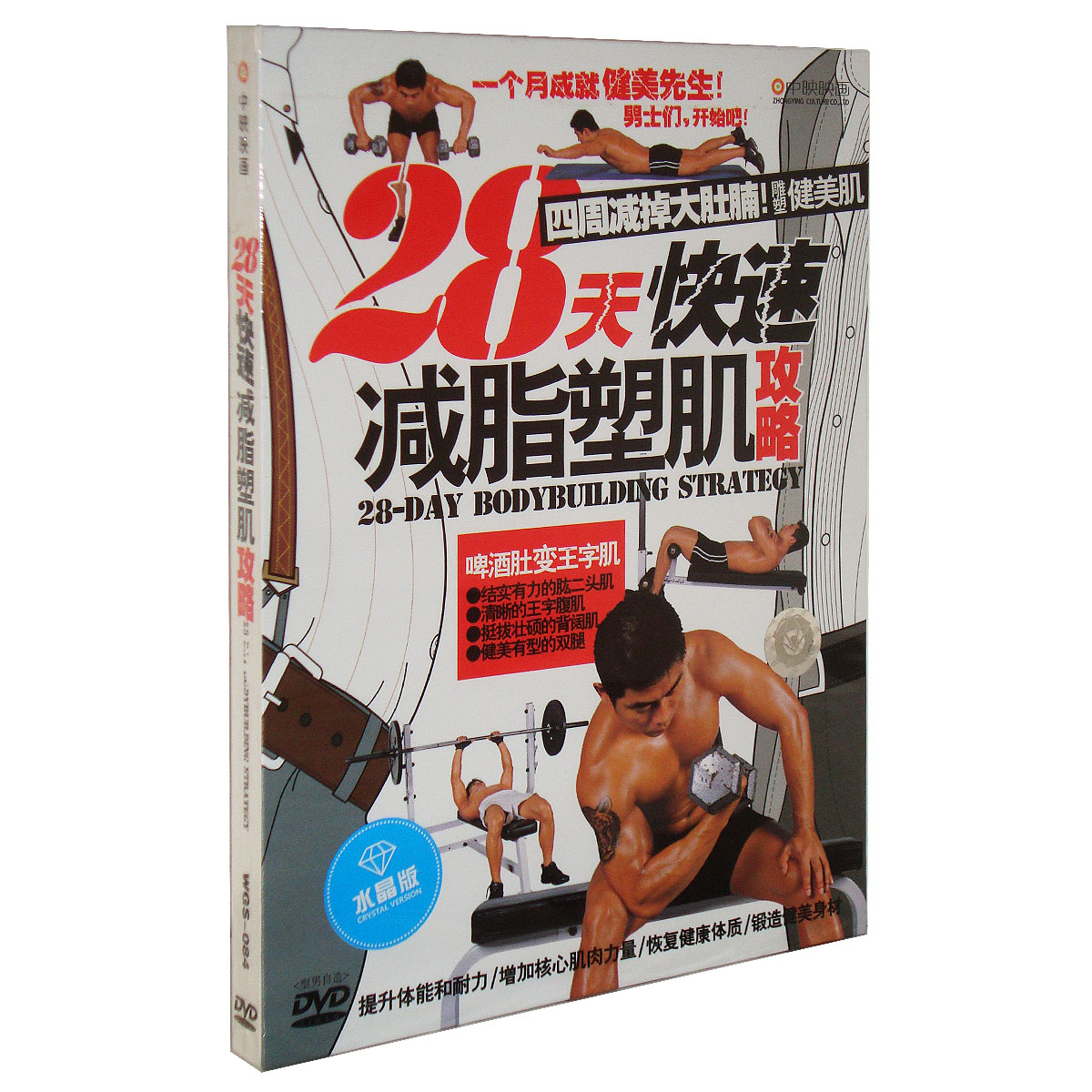 型男健身 28天快速减脂塑肌攻略 健美先生 男子健身 正版DVD