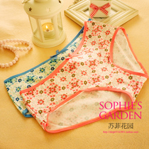 Special Price Pink Champ Lady Underpants Woman Modell Cotton Low Waist Triangle Cute Multicolored