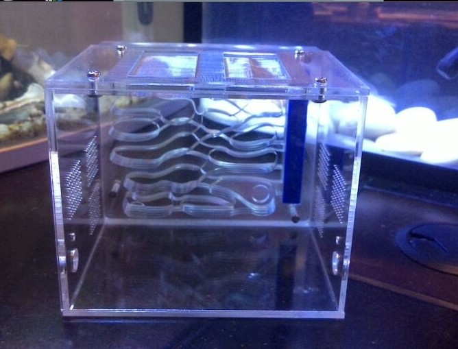 Floating snow Ant-loft | Acrylic Ants Nest | Bionic Nest | D1 (ordinary version)