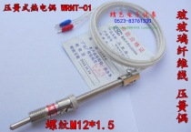  WRNT-01 Compression spring type thermocouple K type thermocouple retainer type thermocouple non-standard customization