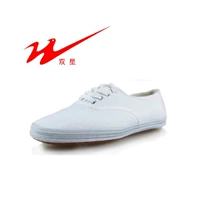 Đôi sao đôi giày thể thao màu trắng đôi giày vải trắng Tai Chi giày võ thuật giày thể dục dụng cụ đào tạo giày ngưu bàng nam nữ giày da thể thao