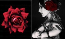 Rachel same tribal belly dance hair accessories super large simulation Rose head fork