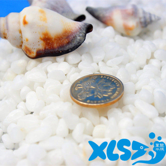 Multi-meat small white stone Pure Natural Rice Stone Fish Tank Aqua Flower Pot plant Ornamental Plant Hydropotted Plant Decoration 500g