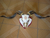 Tibetan sheep head crafts angle 90cm