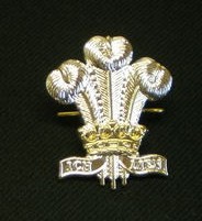 Brand new imported British Army original Royal Wales Regione Berehat emblems (pins) with white mulled feathers