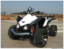 Zongshen 250CC water-cooled F1 large Kawasaki ATV widened 12 inch aluminum alloy wheels four-wheeled beach motorcycle