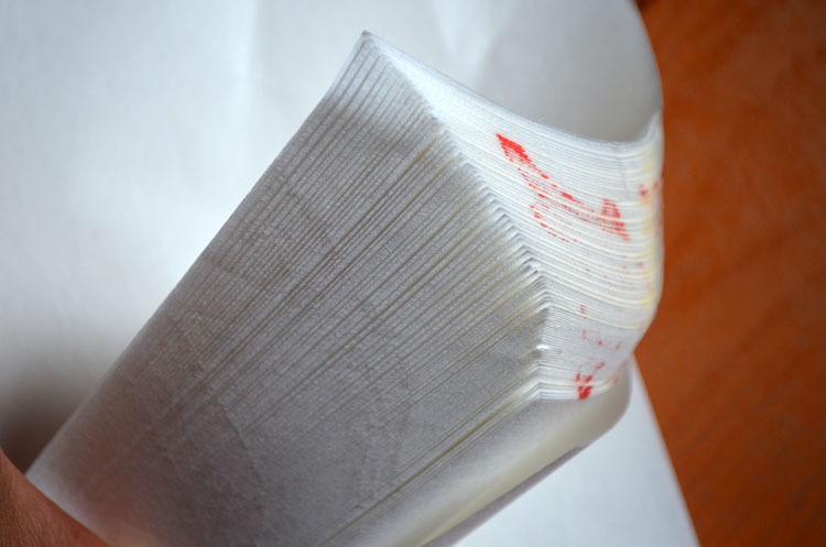 4 feet of good life Xuanguo painting calligraphy Xuan paper 