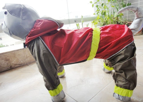 Водонепроницаемая платка с петухой дождевой пейзаж с четырьмя перевернуты