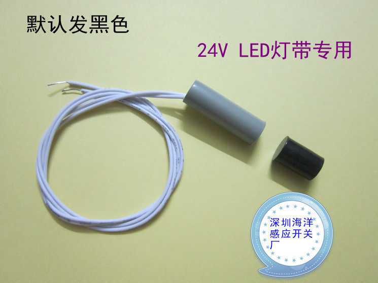 24VLED lights with induction switch Hotel closet switch Open door lights close door lights extinguish (stainless steel)