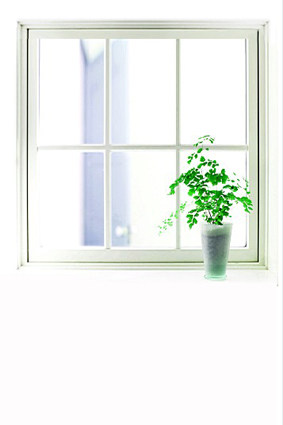 New children's photography background cloth small fresh Korean background theme 100 days baby photo paper 1508