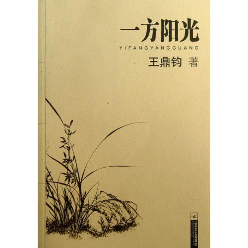 一方阳光 正版书籍 文学 王鼎钧 江苏文艺9787539930121
