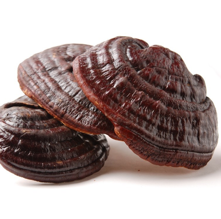 Changbai Mountain Purple Linzhi Re Ganoderma Handle 250 g 29 yuan special price