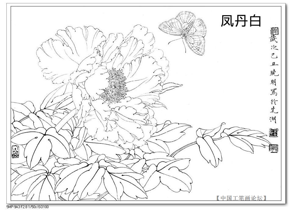 The bottom draft of the artificial stroke-the Feng Danbai