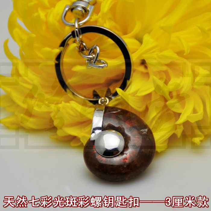 修明堂 开光天然七彩光斑彩螺钥匙扣 李居明推荐招财旺财转运法宝