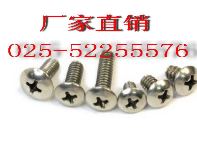 GB818-85 stainless steel round head head disc head large round head screw machine nail M2 * 6-2 * 20
