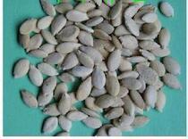 Chinese herbal medicine Chinese herbal medicine wax gourd seeds dong gua zi 500 grams
