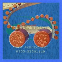 Cylindrical 372 382 series Miniature fuses TR5 250V 0 5A 1 6A 2 5A slow insurance