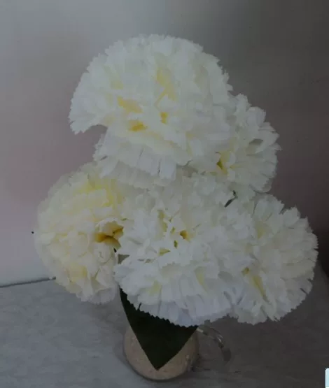 Товары от 秋菊满园