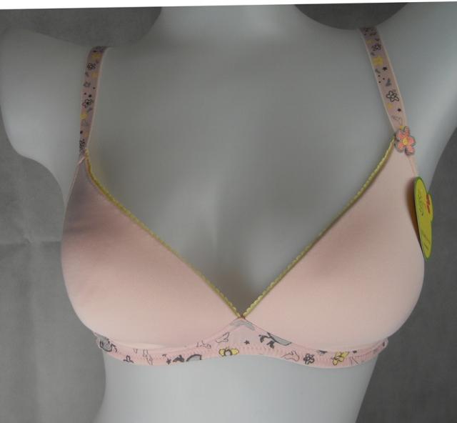 Shang 16 Adjustable gathered bra soft stereotyped small cup no steel ring girl bra 0AS52