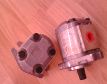 P107RP01GT P109RP01GT high pressure gear pump Yumeng HONOR