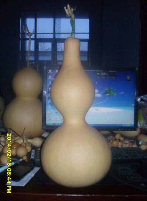 Fu Lu Yuan Natural Gourd Base Extra Large Natural sub-waist Gourd 45 cm